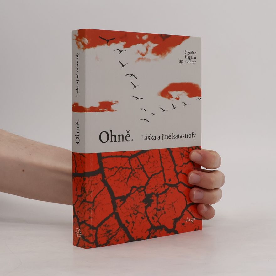 Sigríður Hagalín Björnsdóttir Ohně : láska a jiné katastrofy