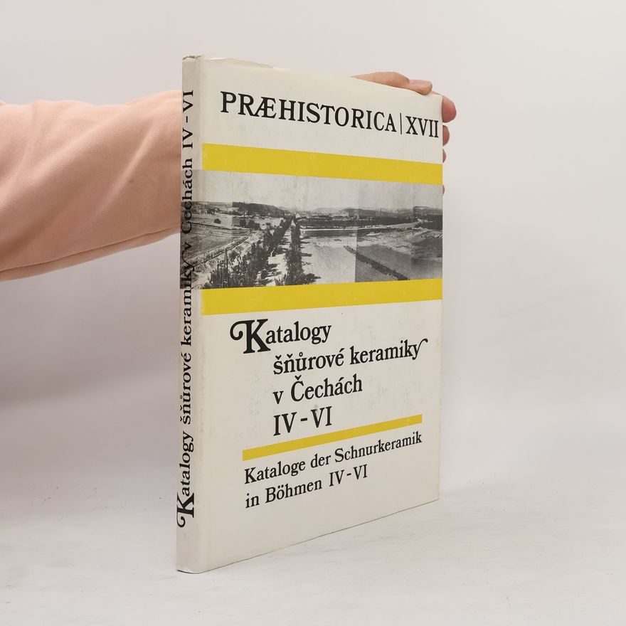 Kolektiv autorů Katalogy nálezů šňůrové keramiky