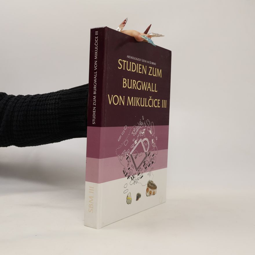 Lumír Poláček Studien zum Burgwall von Mikulčice