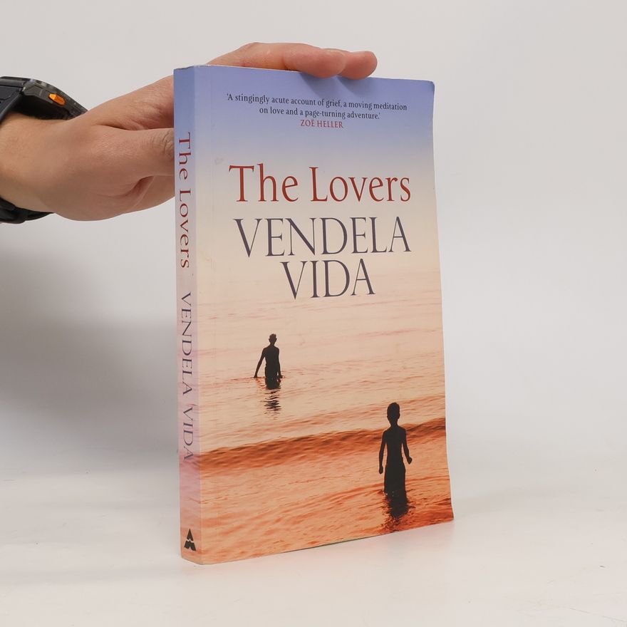 Vendela Vida The Lovers