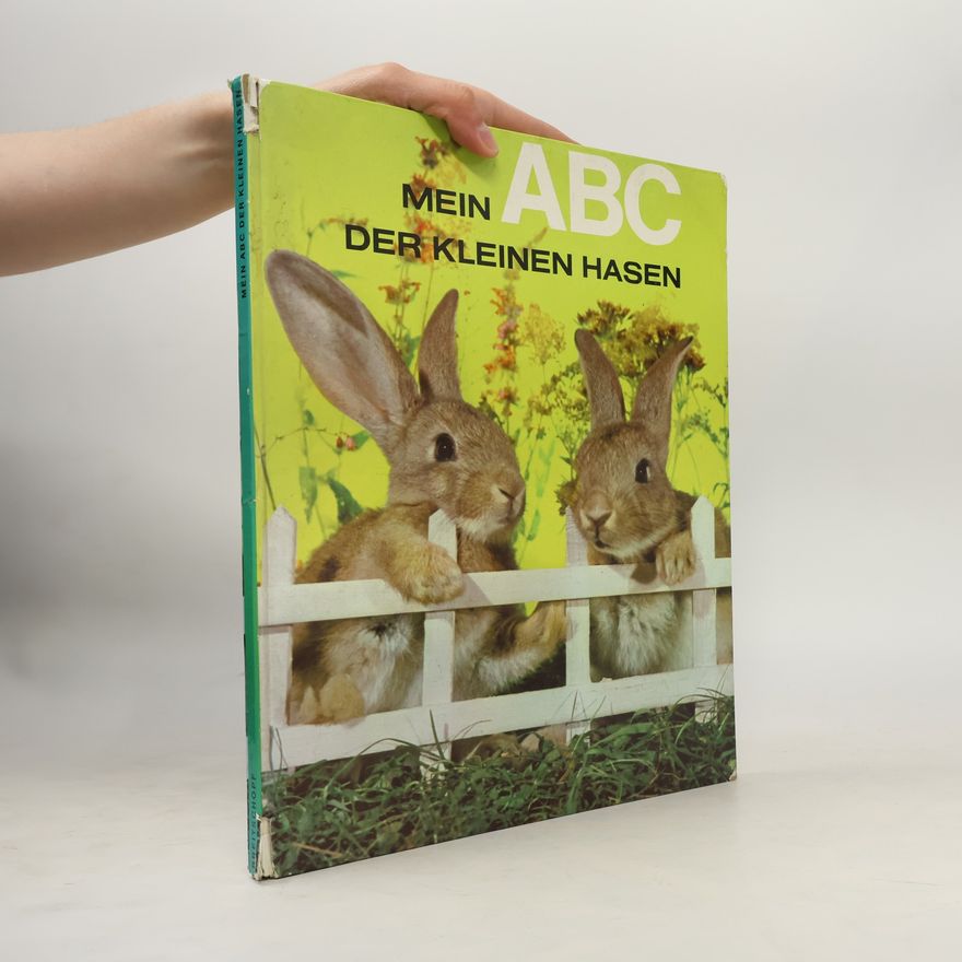 Autorenkollektiv Mein ABC der Kleinen Hasen