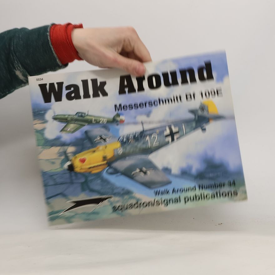 David Gebhardt Walk Around - 34: Messerschmitt Bf 109E