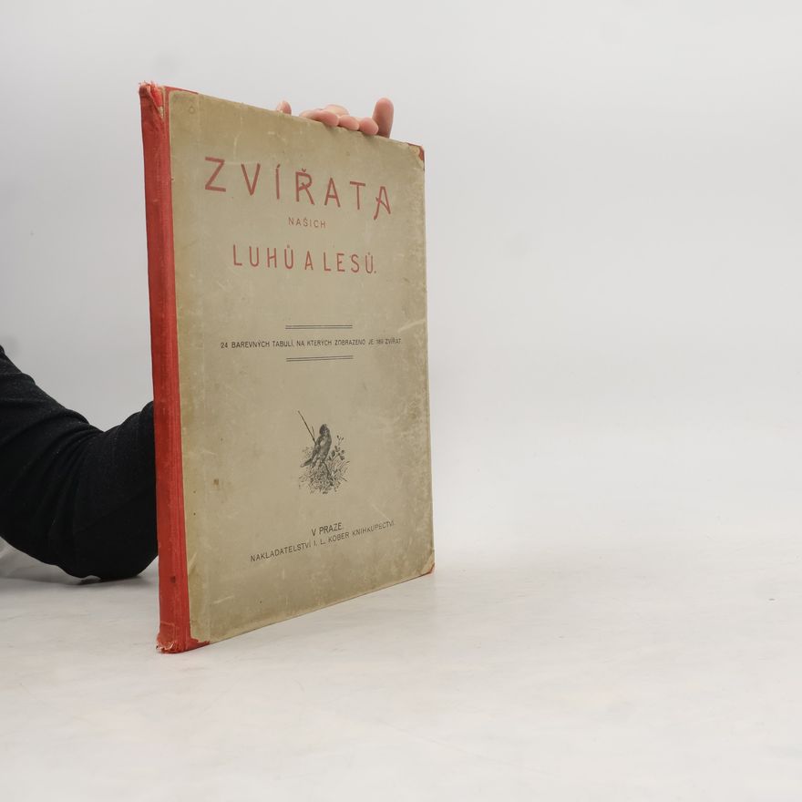 Collectif d'auteurs Zvířata našich luhů a lesů