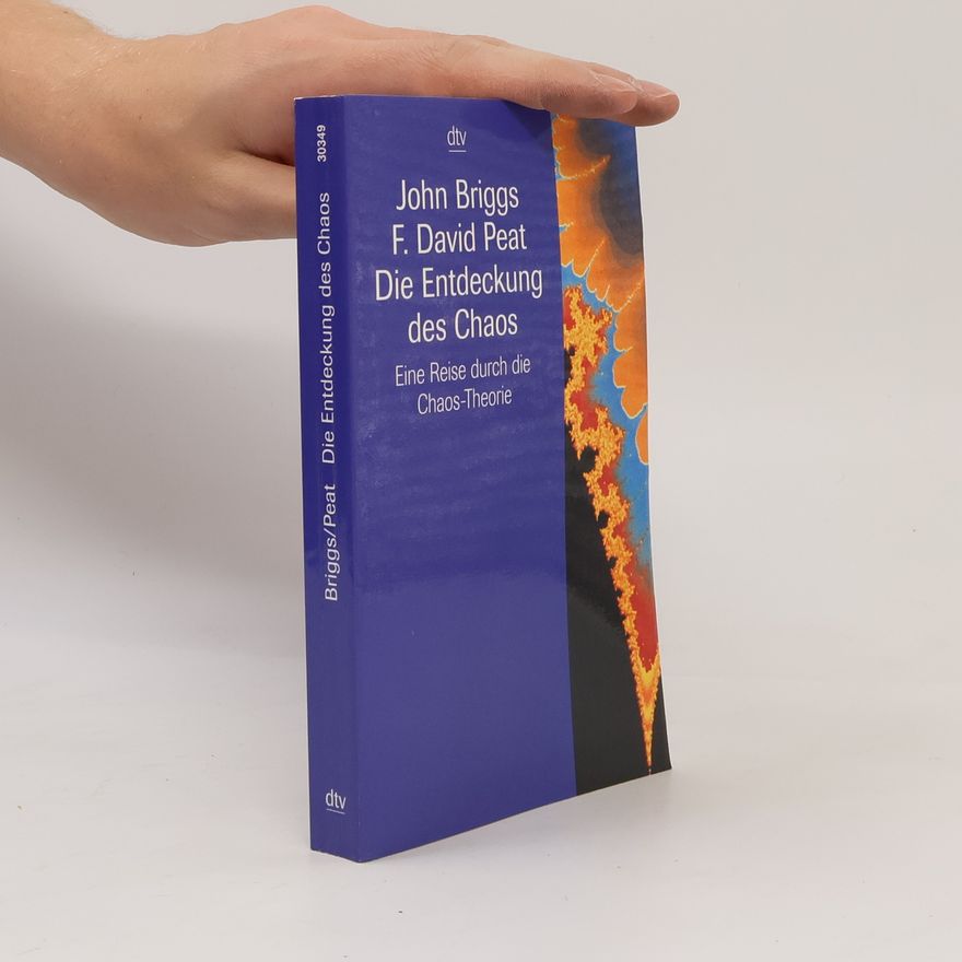 John P. Briggs Die Entdeckung des Chaos