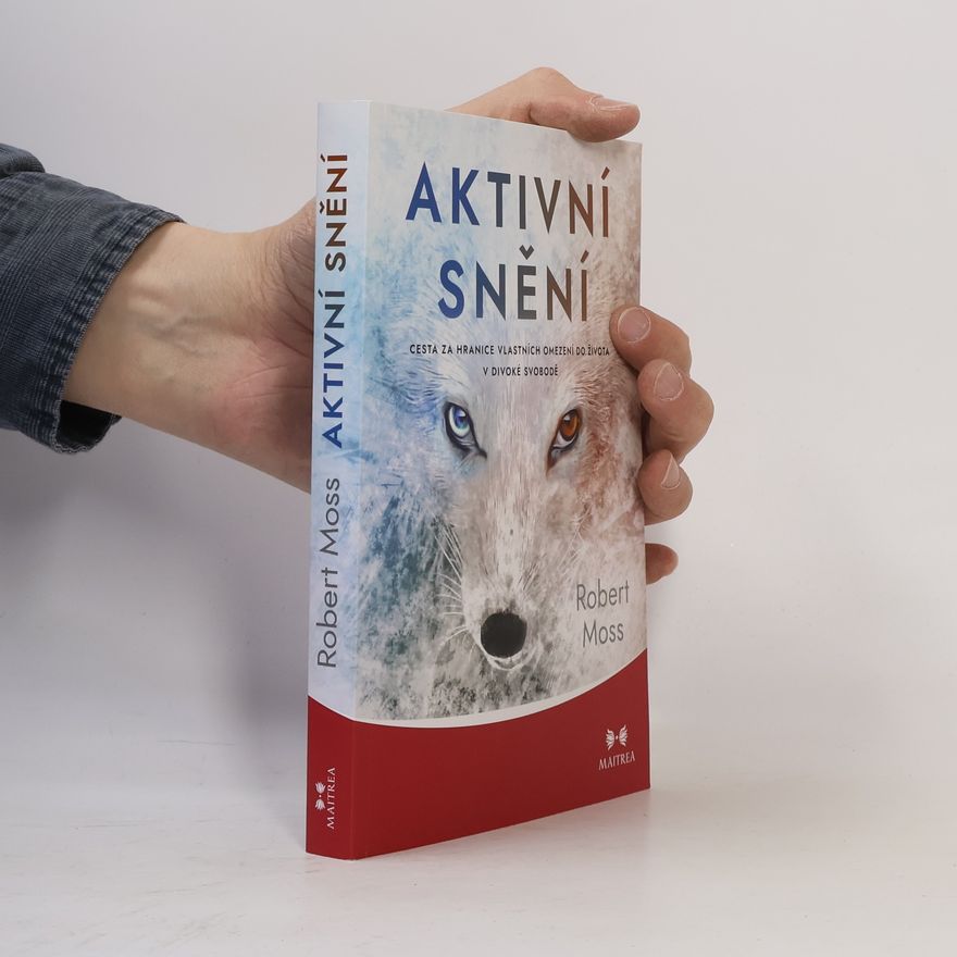 Robert Moss Aktivní snění