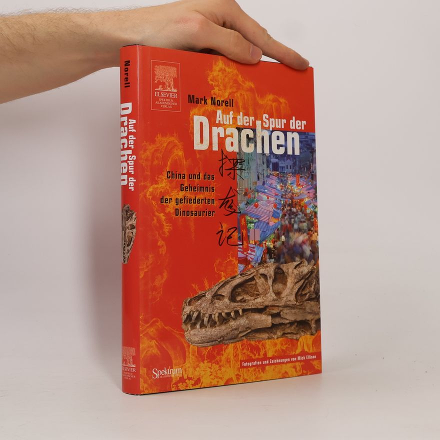Mick Ellison Auf der Spur der Drachen