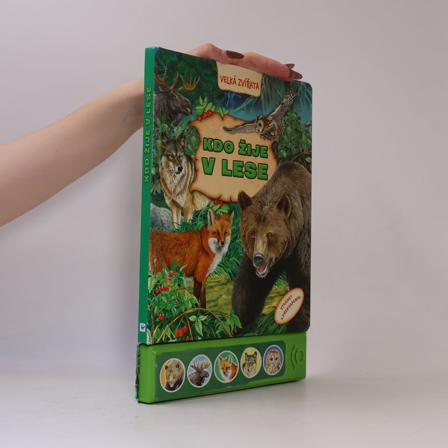 Autorenkollektiv Kdo žije v lese