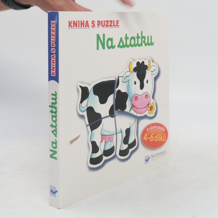 Vera Brüggemann Na statku : kniha s puzzle