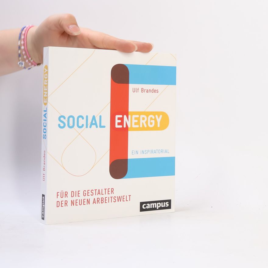 Ulf Brandes Social Energy