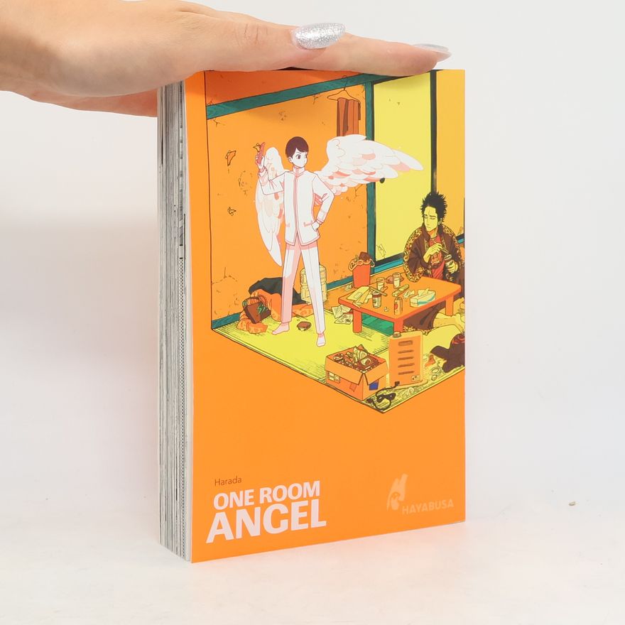 Harada One Room Angel