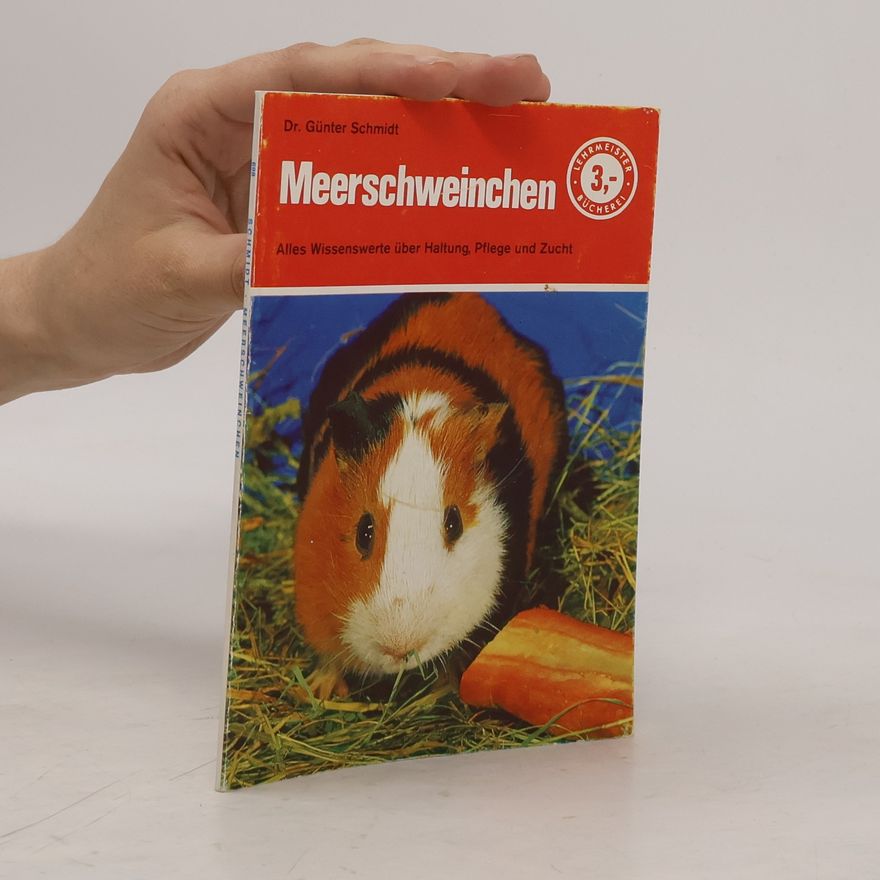 Günter Schmidt Meerschweinchen