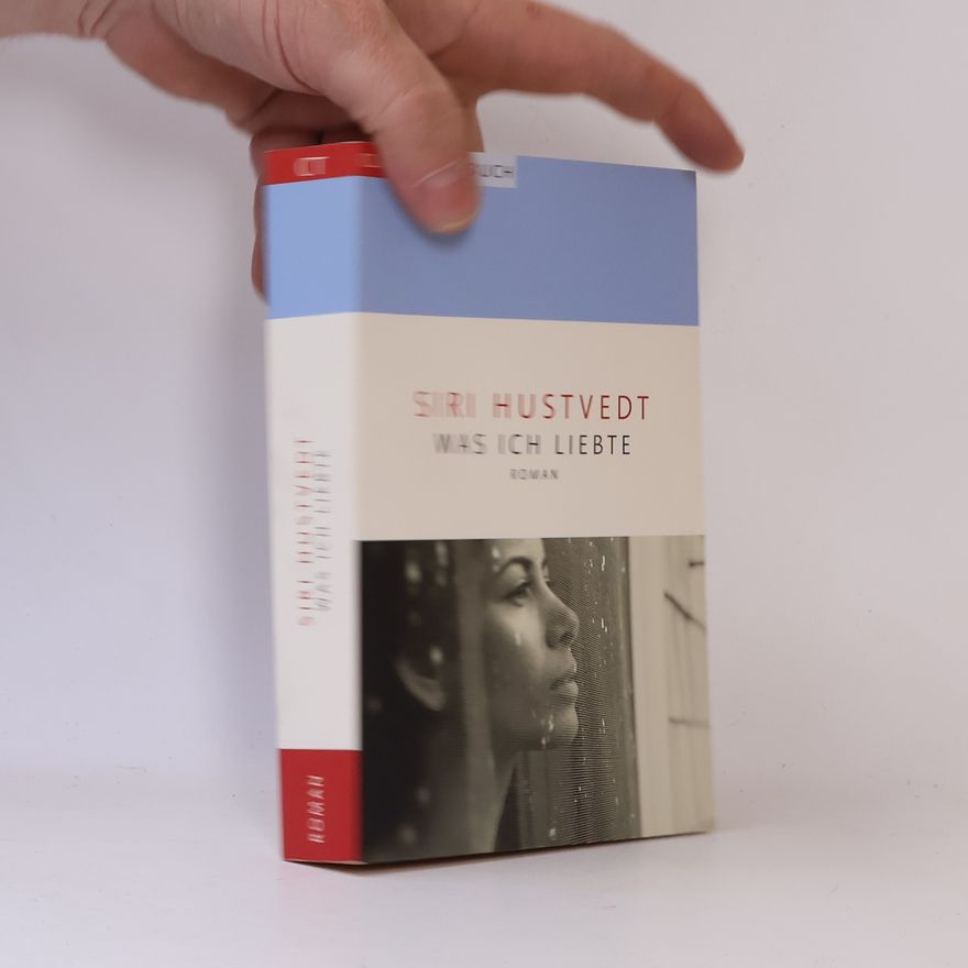 Siri Hustvedt Was ich liebte