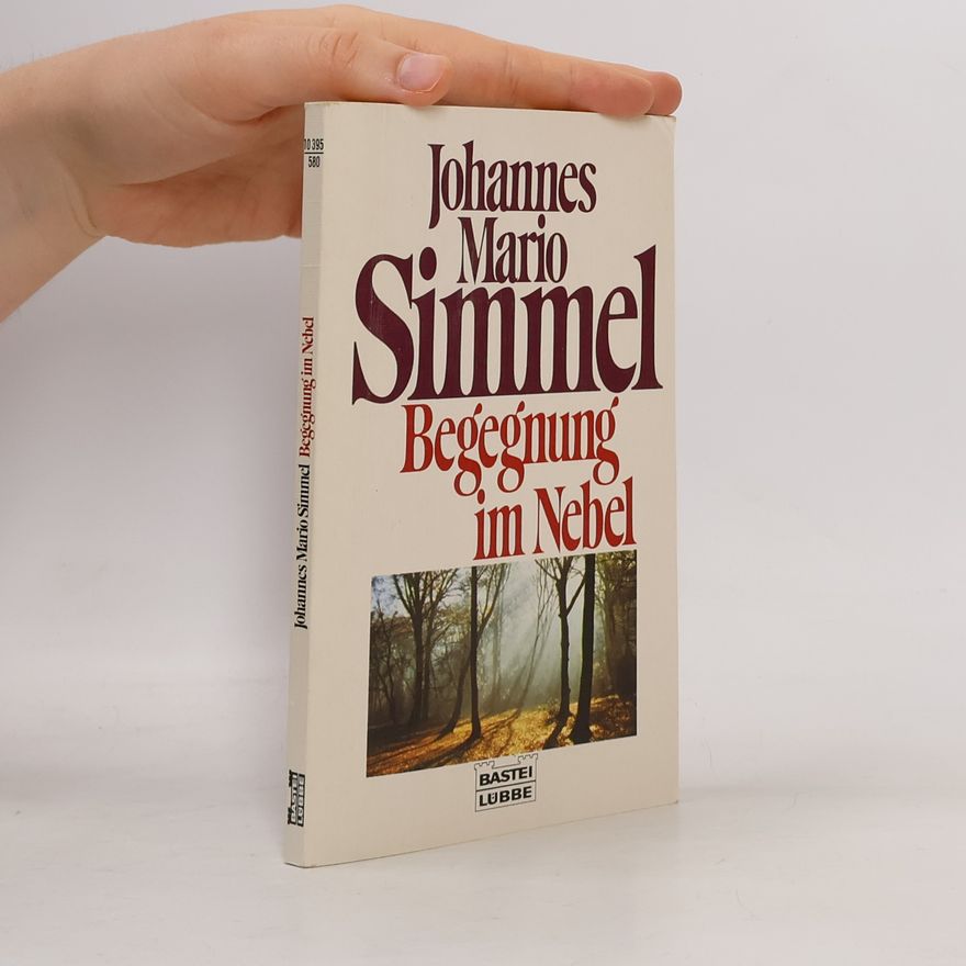 Johannes Mario Simmel Begegnung im Nebel