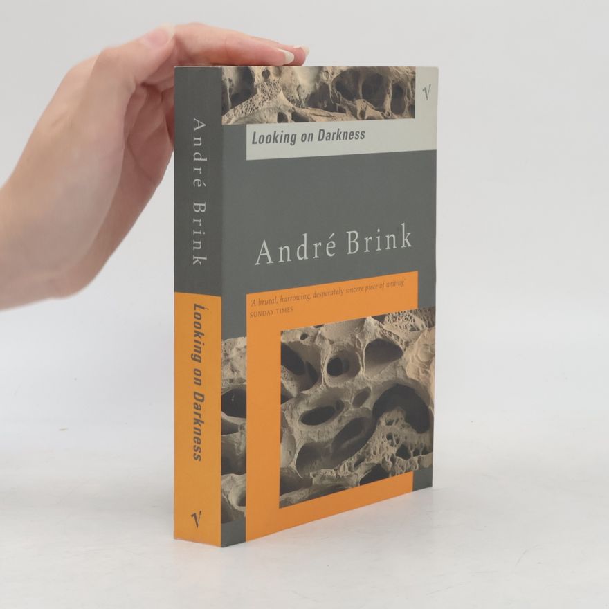André Brink Looking On Darkness