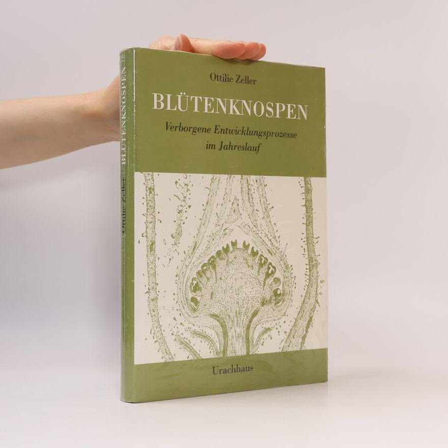 Ottilie Zeller Blütenknospen