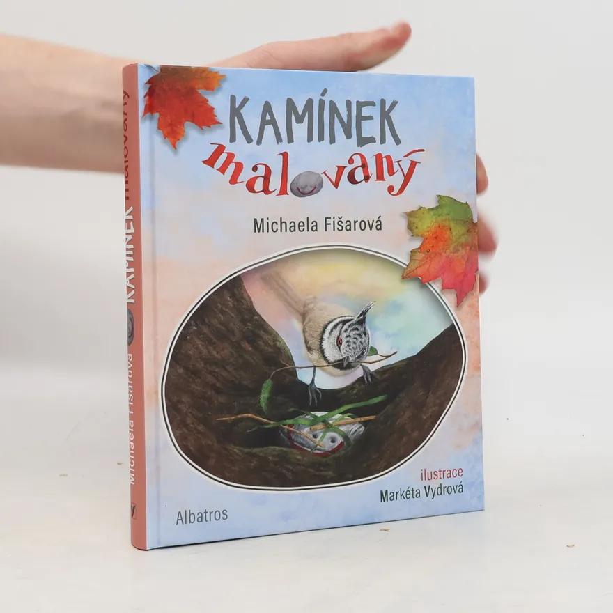Kamínek malovaný | Michaela Fišarová | Czech | Book