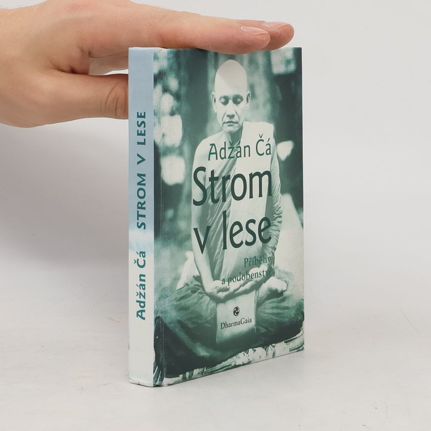 Čá Strom v lese : příběhy a podobenství