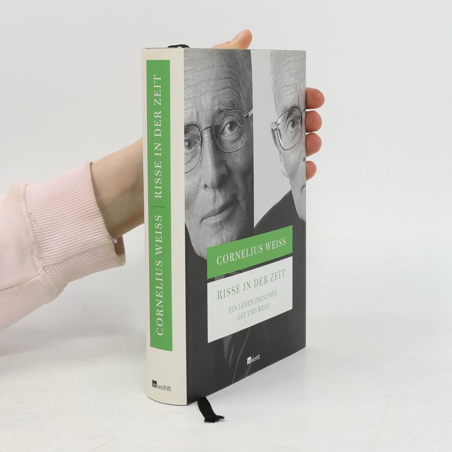Cornelius Weiss Risse in der Zeit