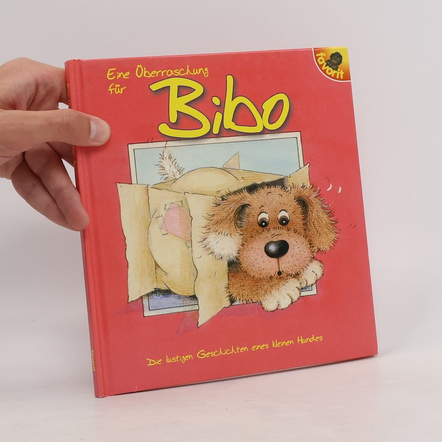 Sue Hall Eine Überraschung für Bibo