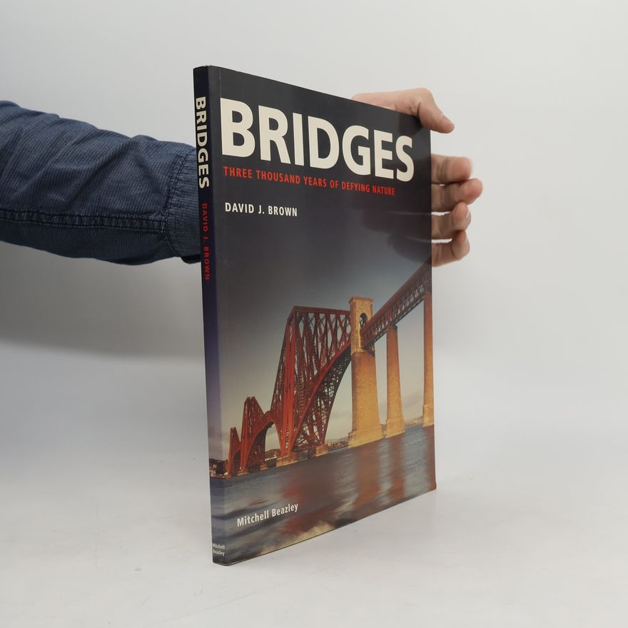 David J. Brown Bridges