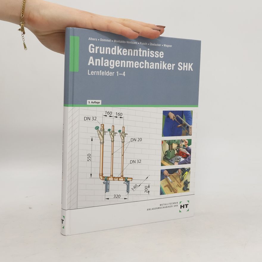 Henry Montaldo-Ventsam Grundkenntnisse Anlagenmechaniker SHK - 5. Auflage