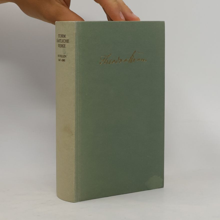 Theodor Storm Novellen, 1867-1880