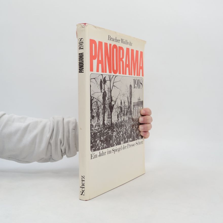 Autorenkollektiv Panorama 1918