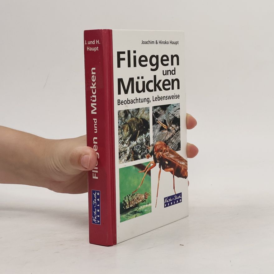 Joachim Haupt Fliegen und Mücken