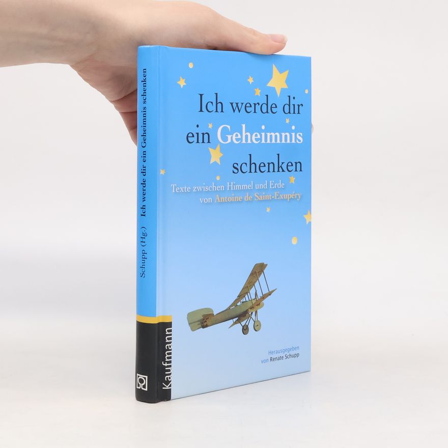 Renate Schupp Ich werde dir ein Geheimnis schenken