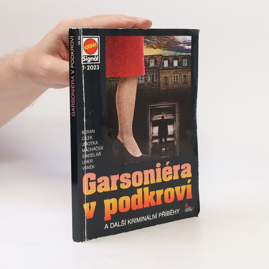 Beran Garsoniéra v podkroví