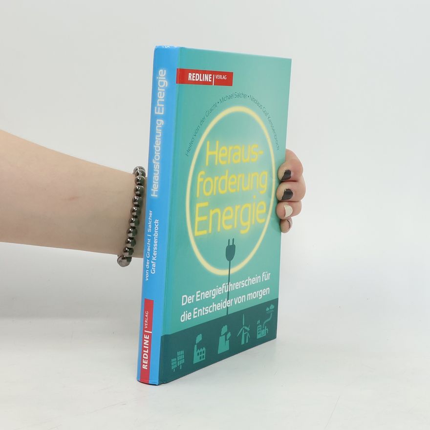 Michael Salcher Herausforderung Energie