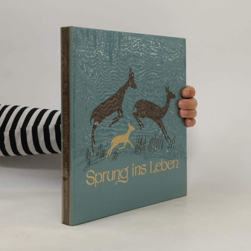 kolektiv Sprung ins Leben
