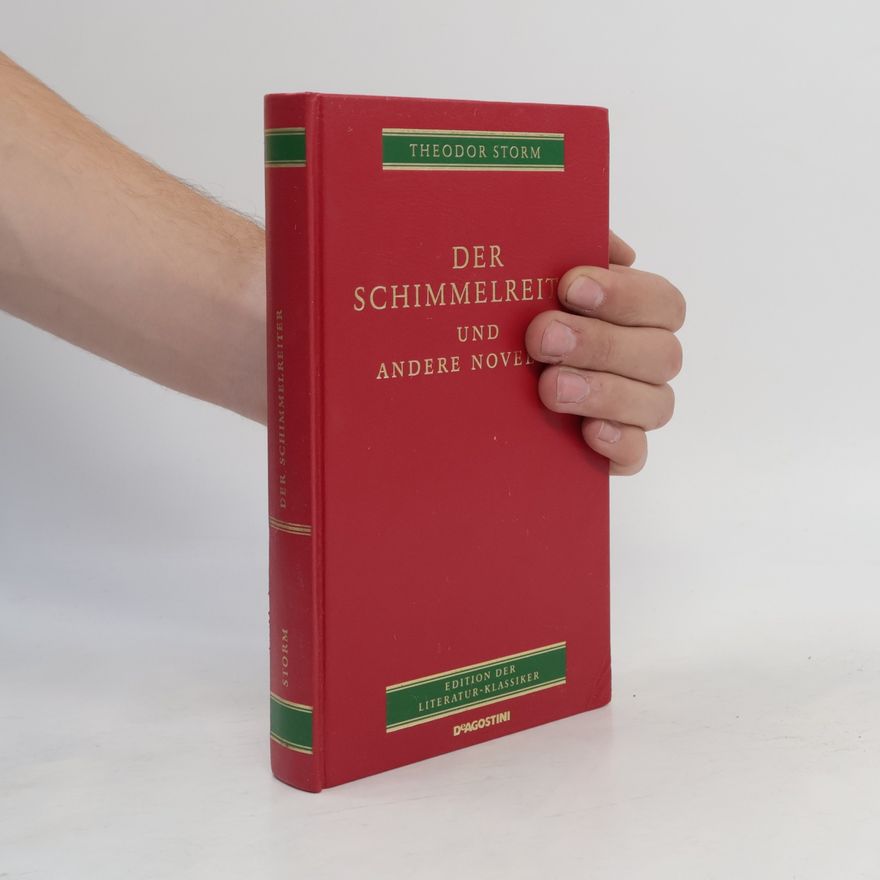 Hans Theodor Woldsen Storm Der Schimmelreiter und andere Novellen