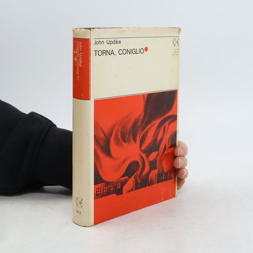 John Updike Torna, coniglio