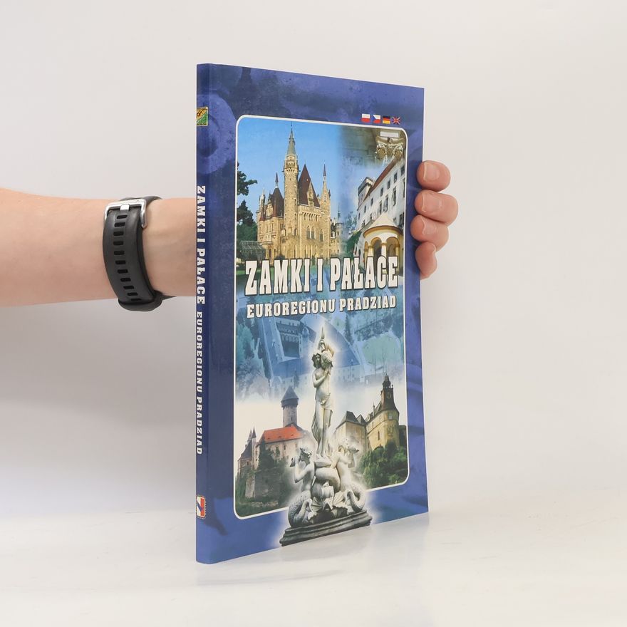 Autorenkollektiv Zamki i palace euroregionu Pradziad