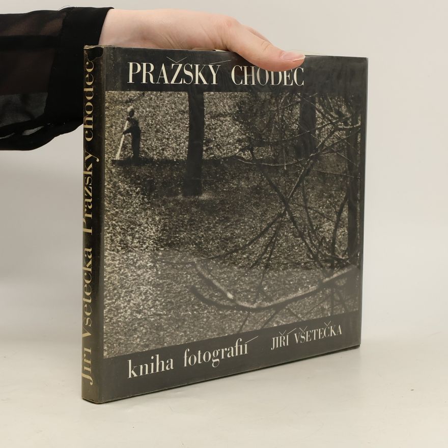 Jiri Vsetecka Pražský chodec