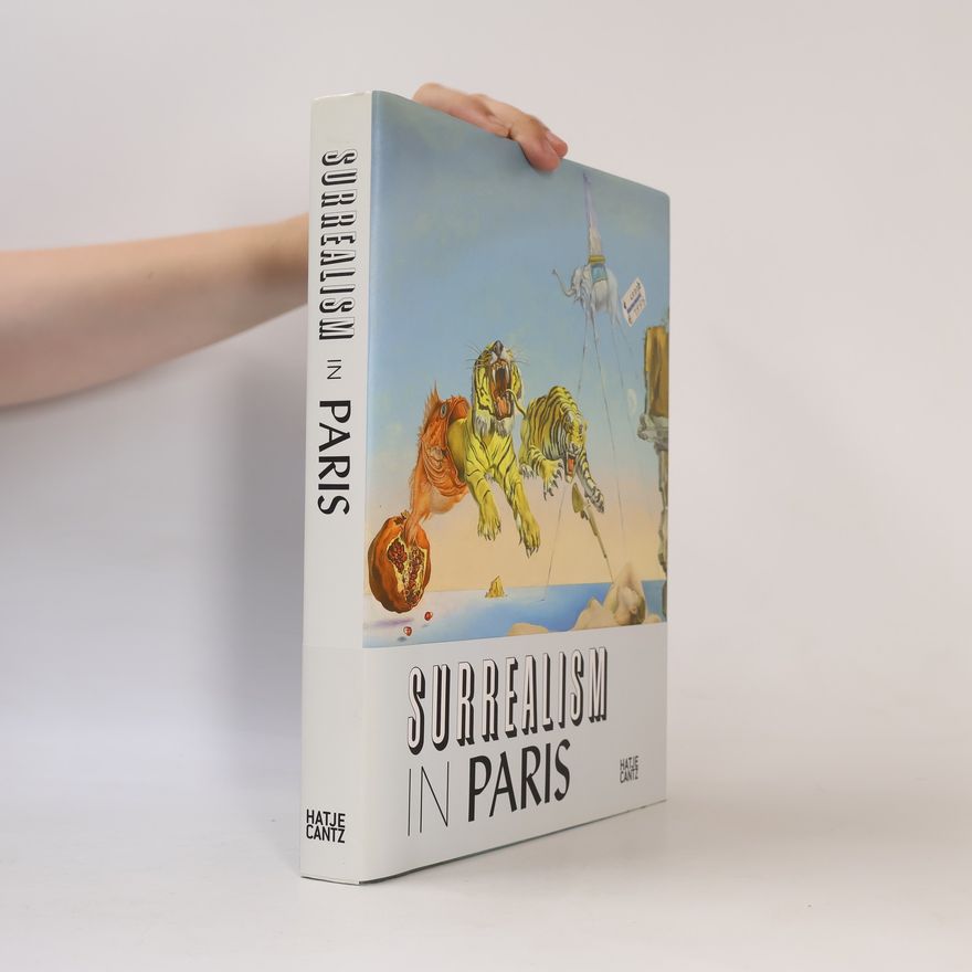 Fondation Beyeler Surrealism in Paris