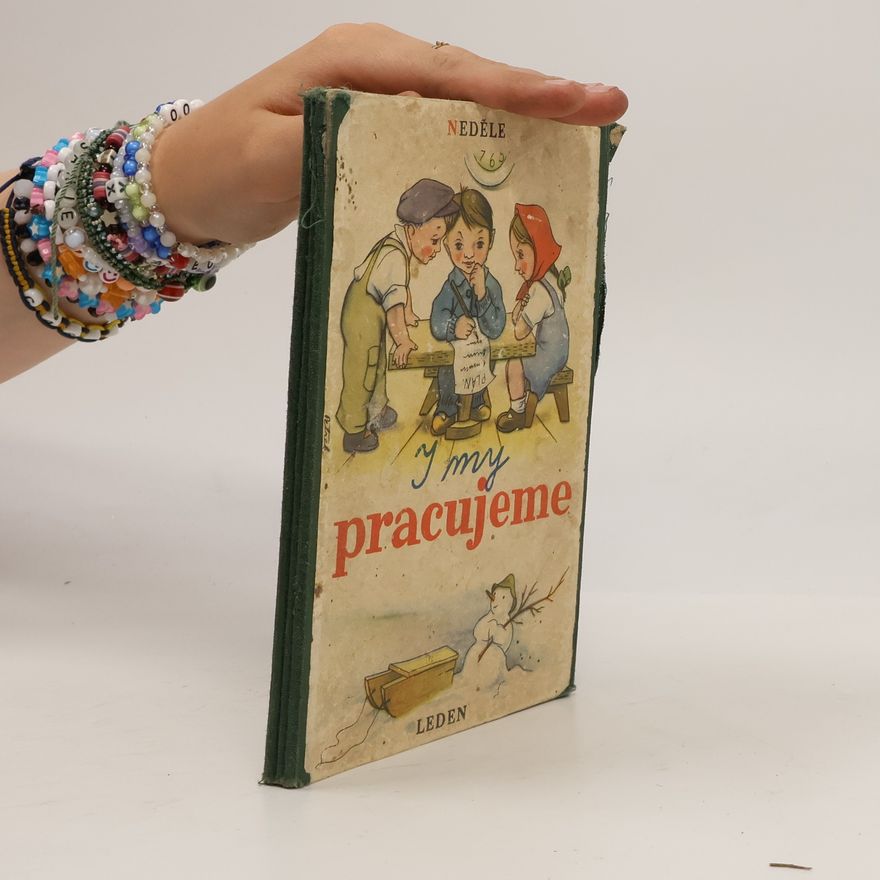 Autorenkollektiv Aj my pracujeme