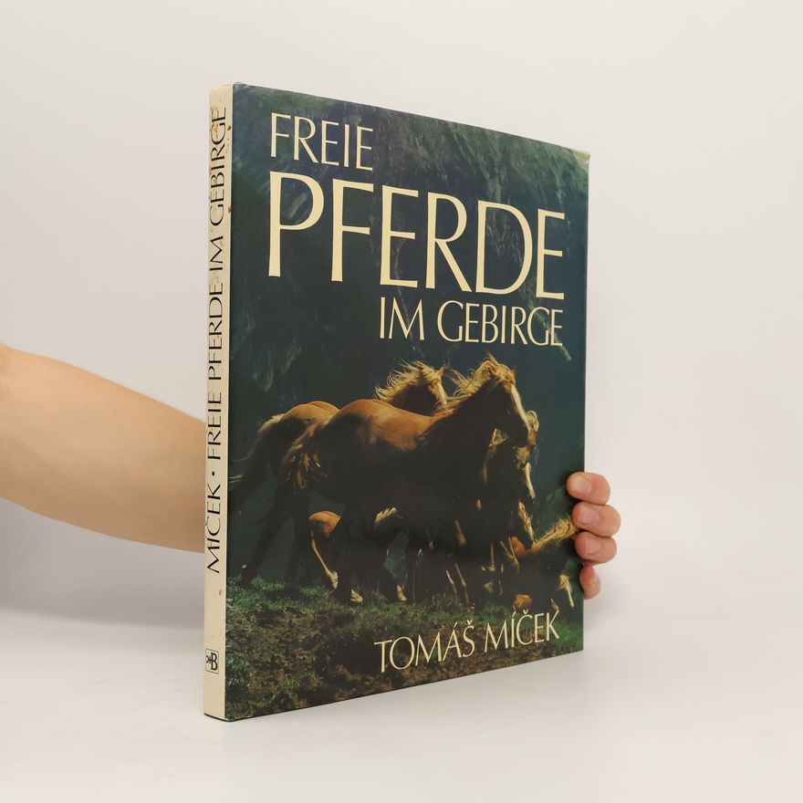 Tomáš Míček Freie Pferde im Gebirge