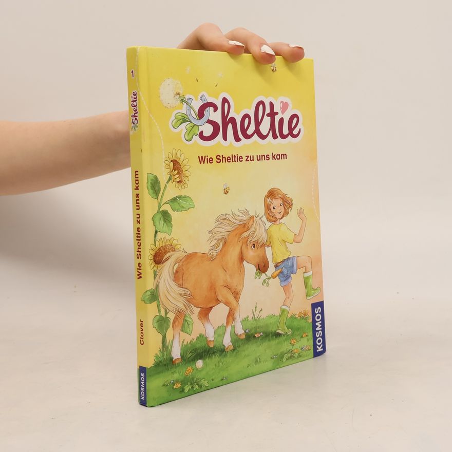 Peter Clover Sheltie. Wie Sheltie zu uns kam