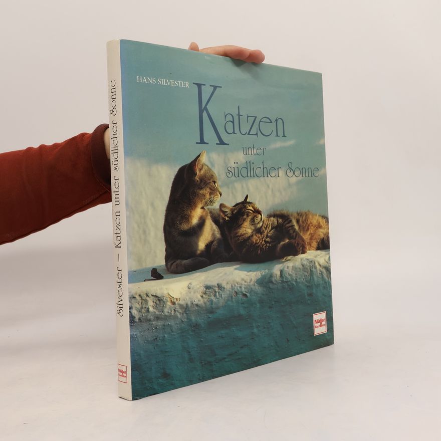 Hans Silvester Katzen unter südlicher Sonne