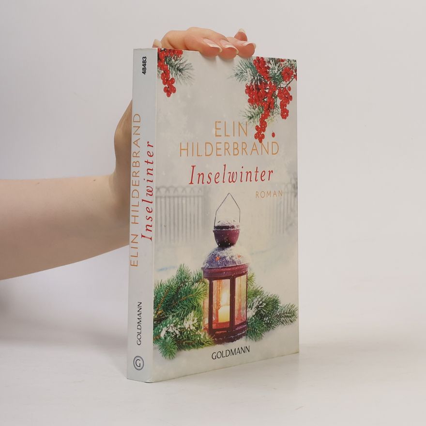 Elin Hilderbrand Inselwinter