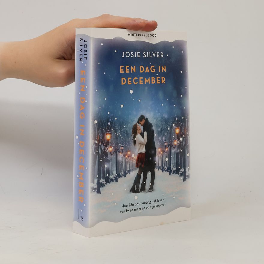 Josie Silver Een dag in december