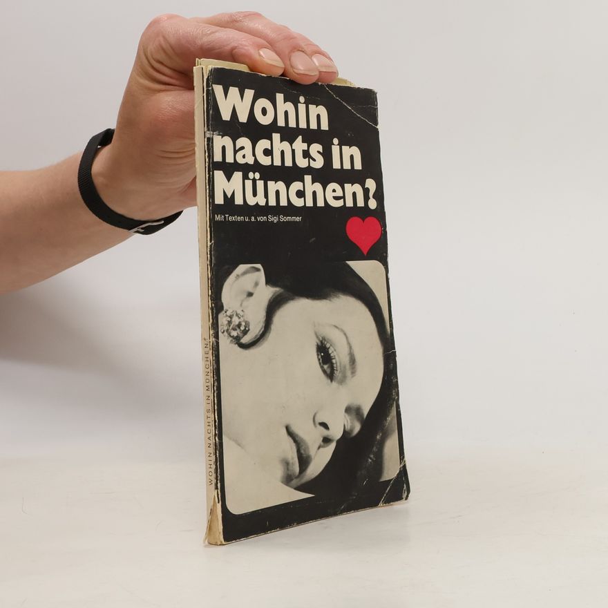 Sigfried Sommer Wohin nachts in München?