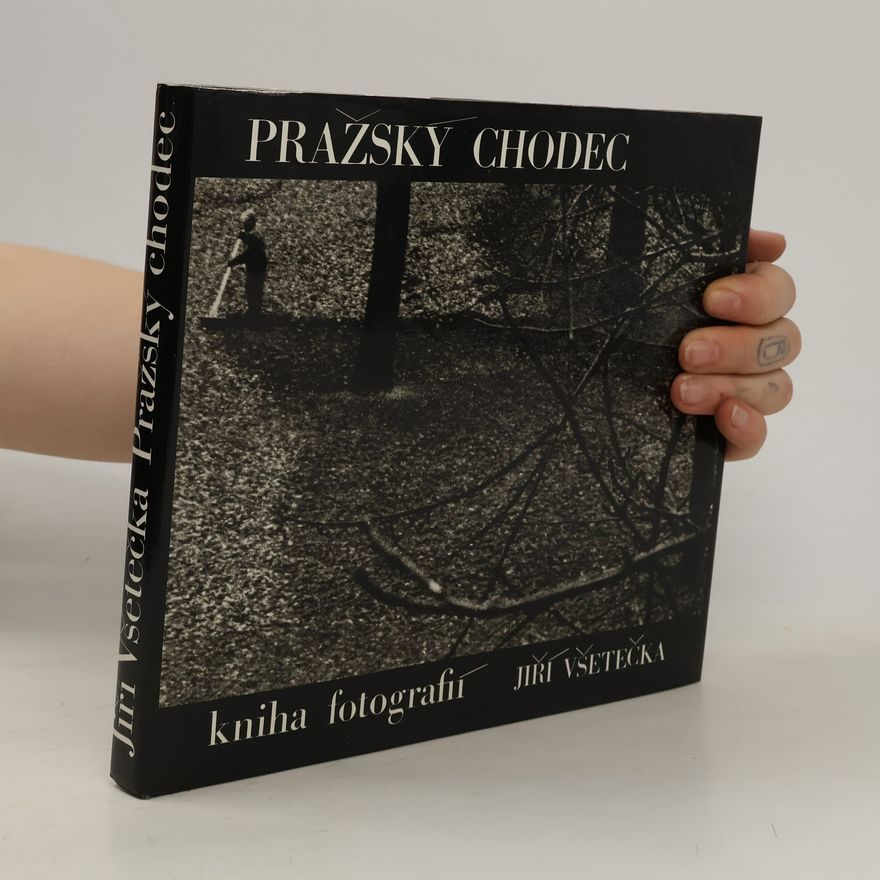 Jiří Všetečka Pražský chodec