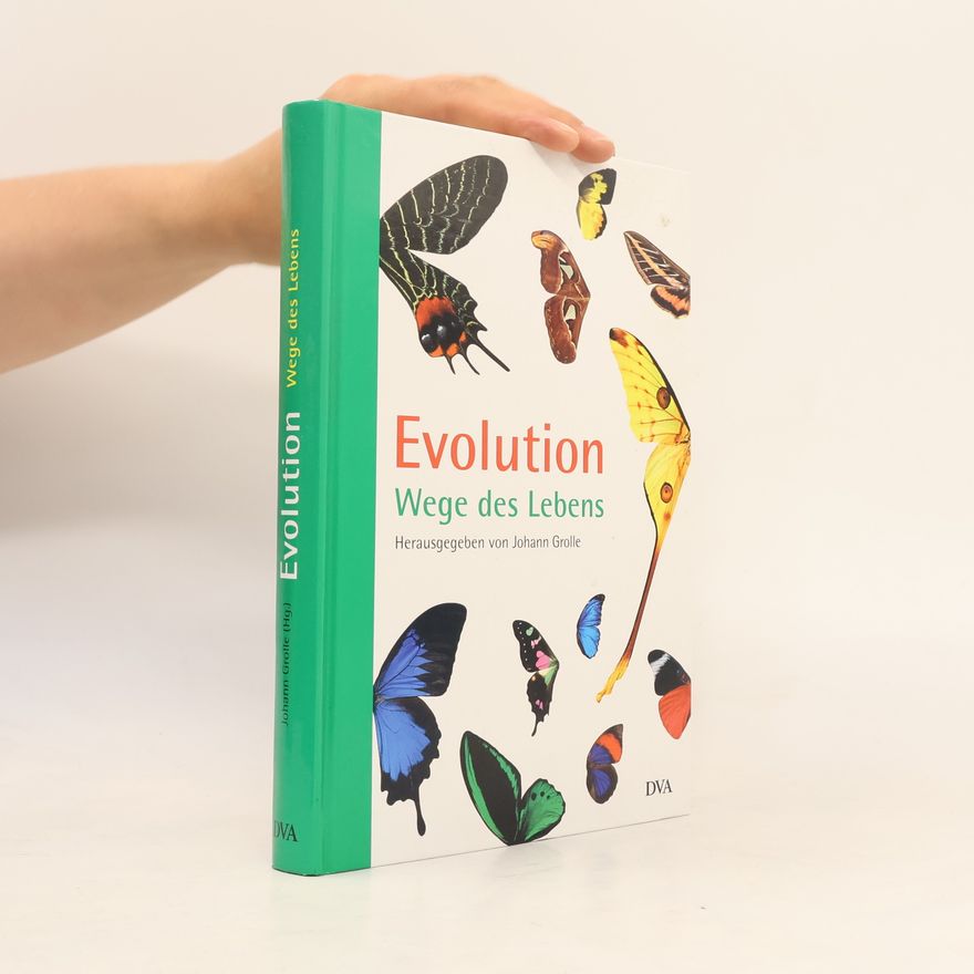 Johann Grolle Evolution