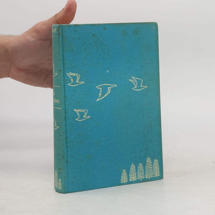 Selma Lagerlöf Wunderbare Reise des kleinen Nils Holgersson mit den Wildgänsen