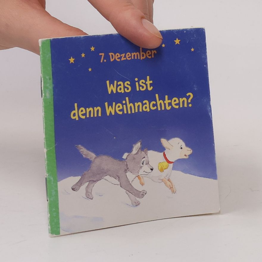 Katharina Wilhelm Rica und das Weihnachtsabenteuer