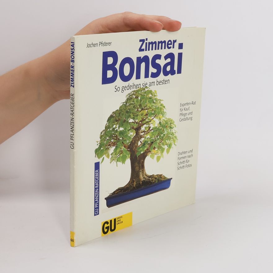 Jochen Pfisterer Zimmer-Bonsai