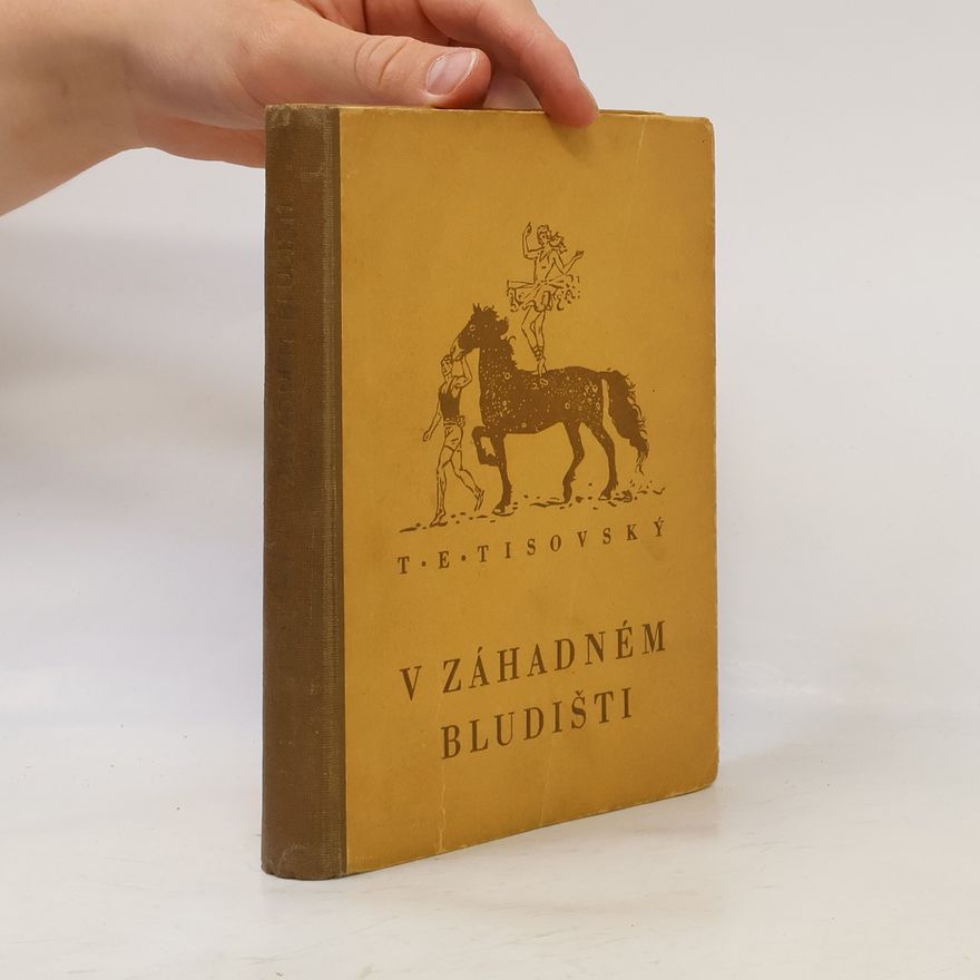 Tobiáš Eliáš Tisovský V záhadném bludišti